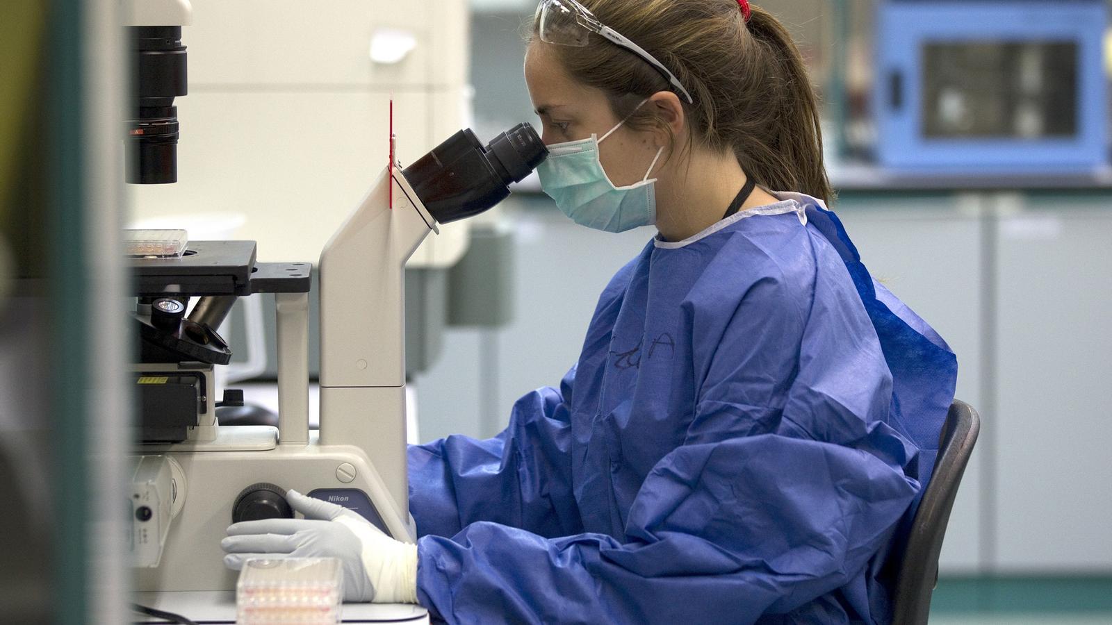 Investigación en salud