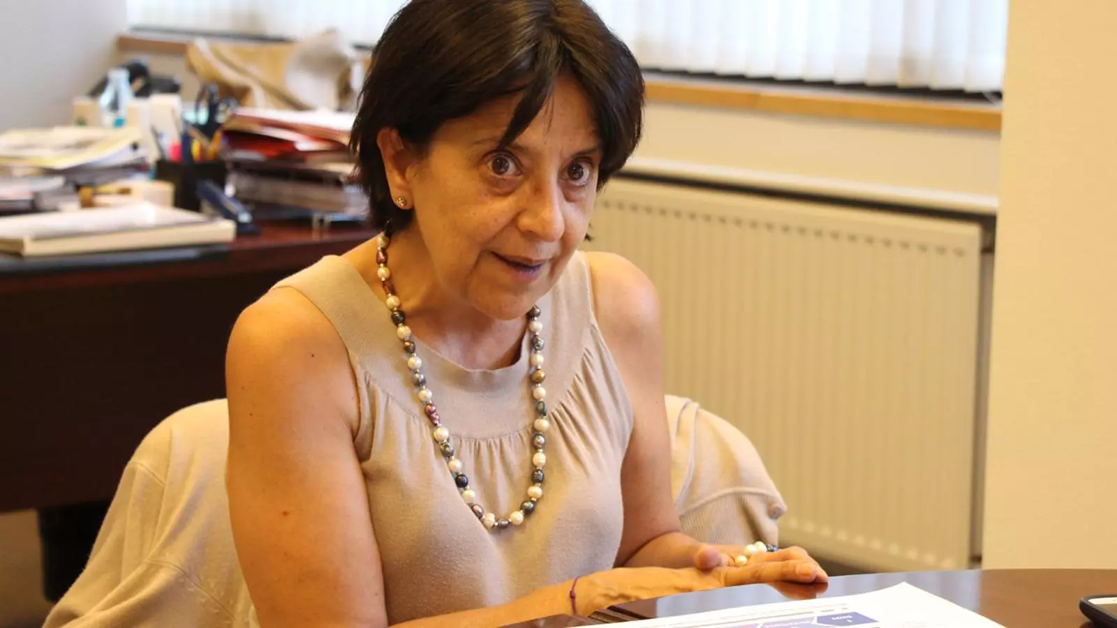 Rosa Ferrer durant el seu període com a ministra l'any 2015 / Arxiu ANA