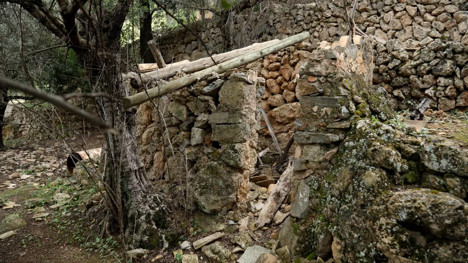 Un porxo ubicat a Sóller que fou abandonat els anys 70 i que els hereus ara no poden restaurar.