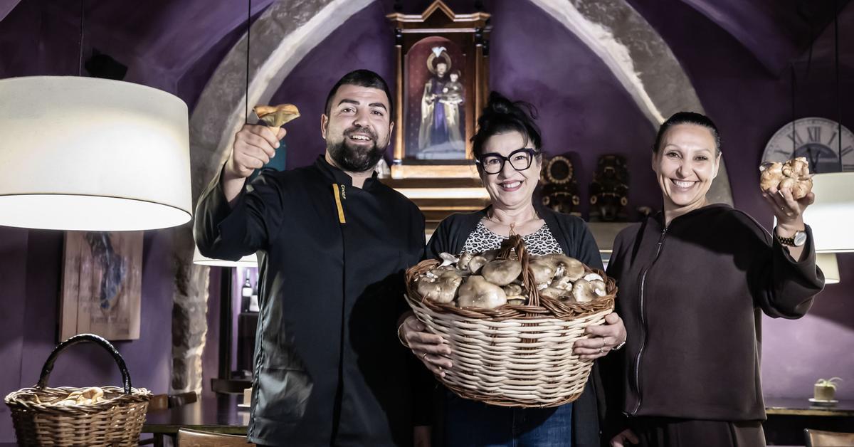The Rector's Return: The Cardona restaurant where every dish hides a ...
