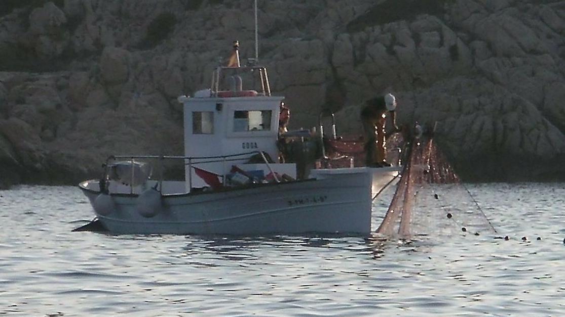 Die Fischer von Menorca und die Gastronomen warnen vor den restriktiven Vorschriften Europas.