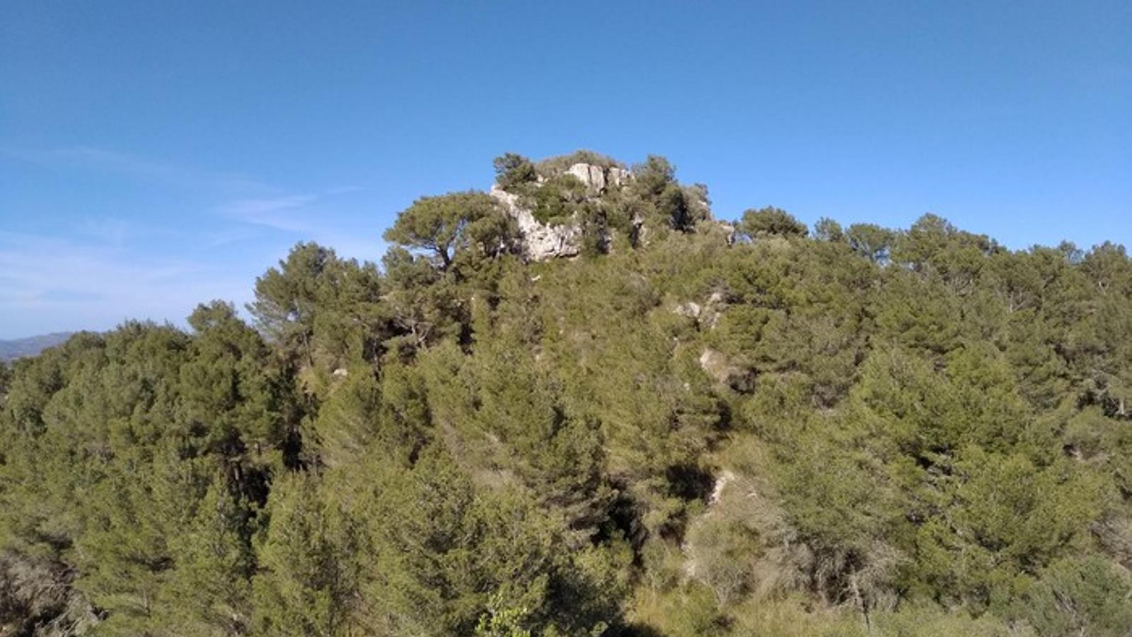 Torre dels Enagistes, Manacor.
