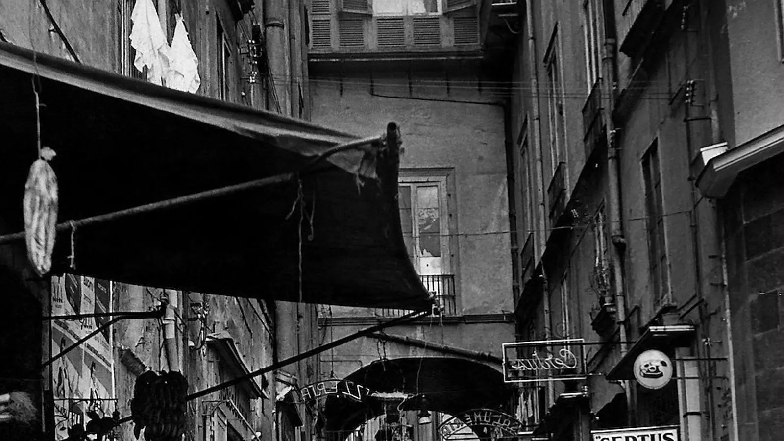 Elena Ferrante Davant el mirall Del conflicte