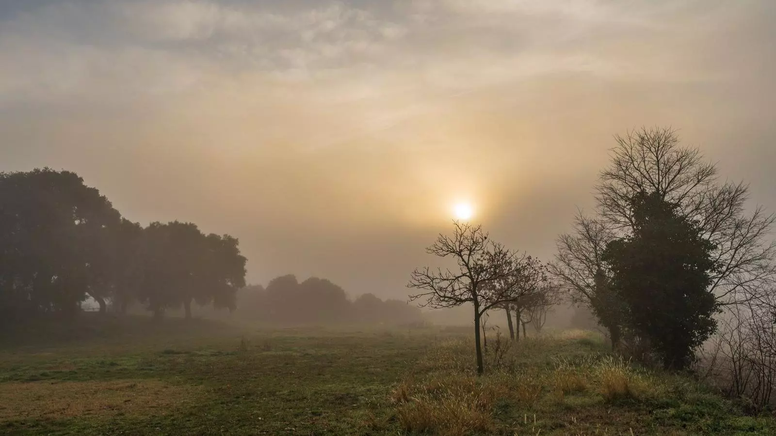 La sortida de sol d'ahir des de Cardedeu, amb la presència d'alguns núvols i de boirina