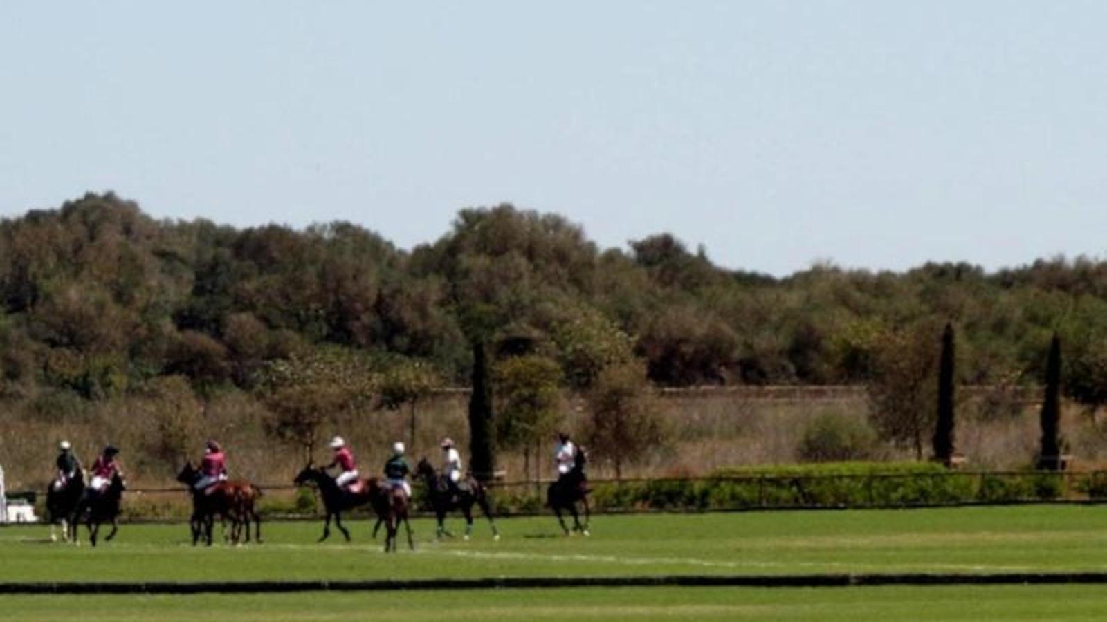 Polospiel in Sa Barralina, Campos