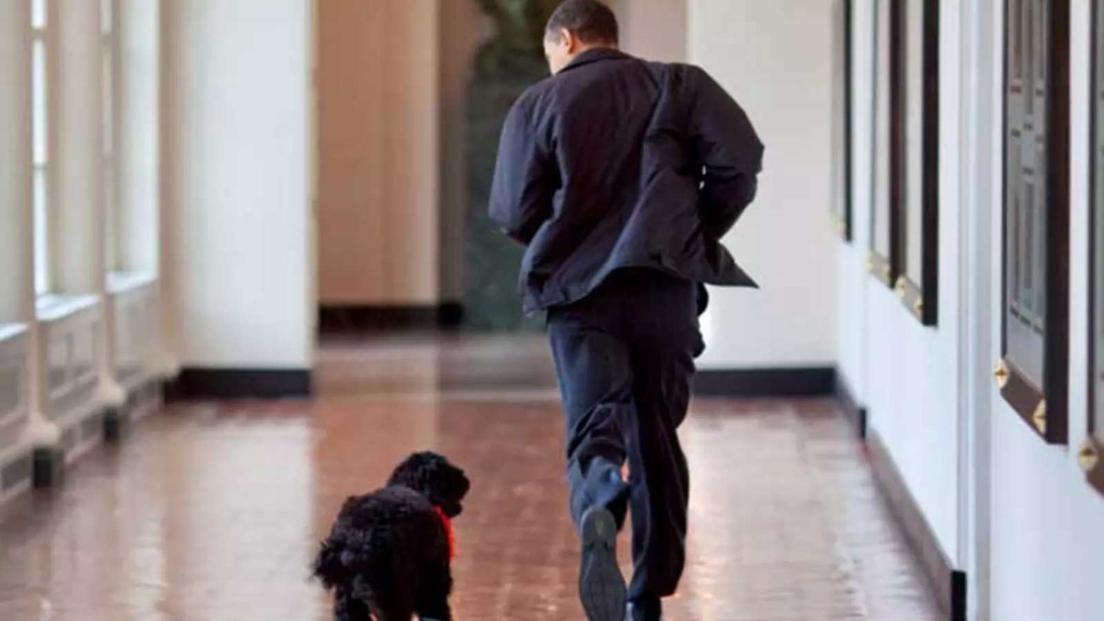 Obama i Bo corrent per la Casa Blanca