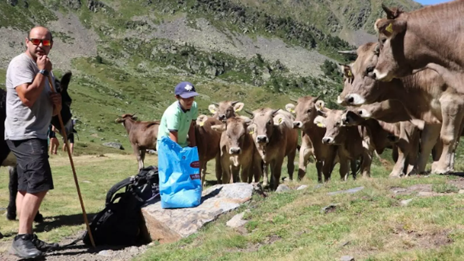 La nova llei de Ramaderia tindrà una visió nacional de les pastures