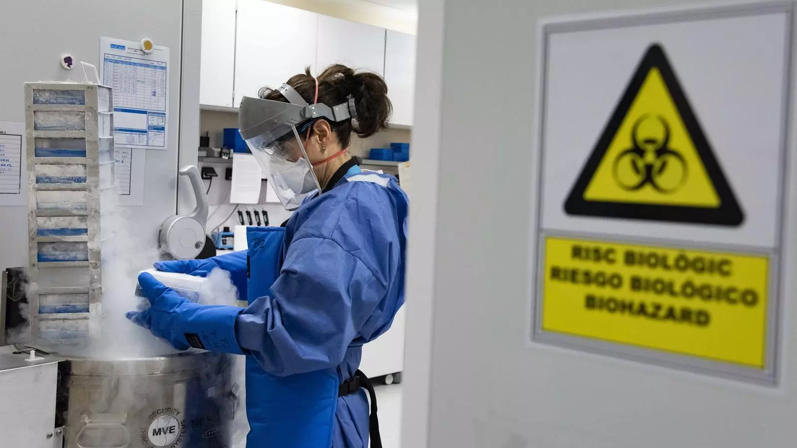 Una tècnica de laboratori en plena feina durant la pandèmia per covid-19