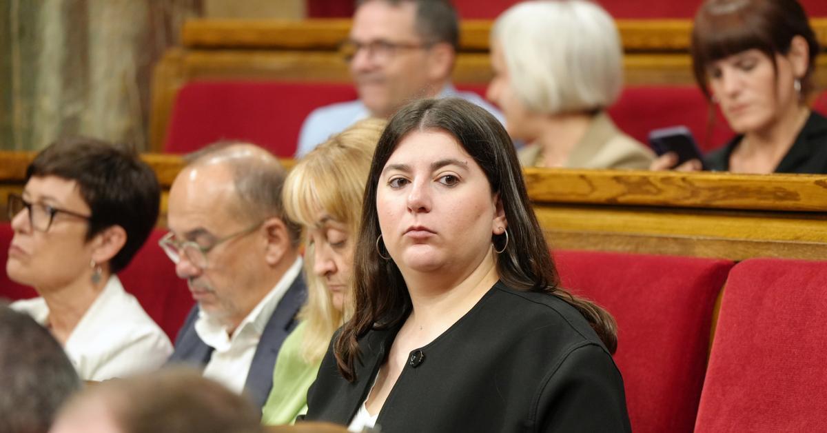 #Últimahora Pressupostos salvats: les joventuts d'ERC se sumen al pacte