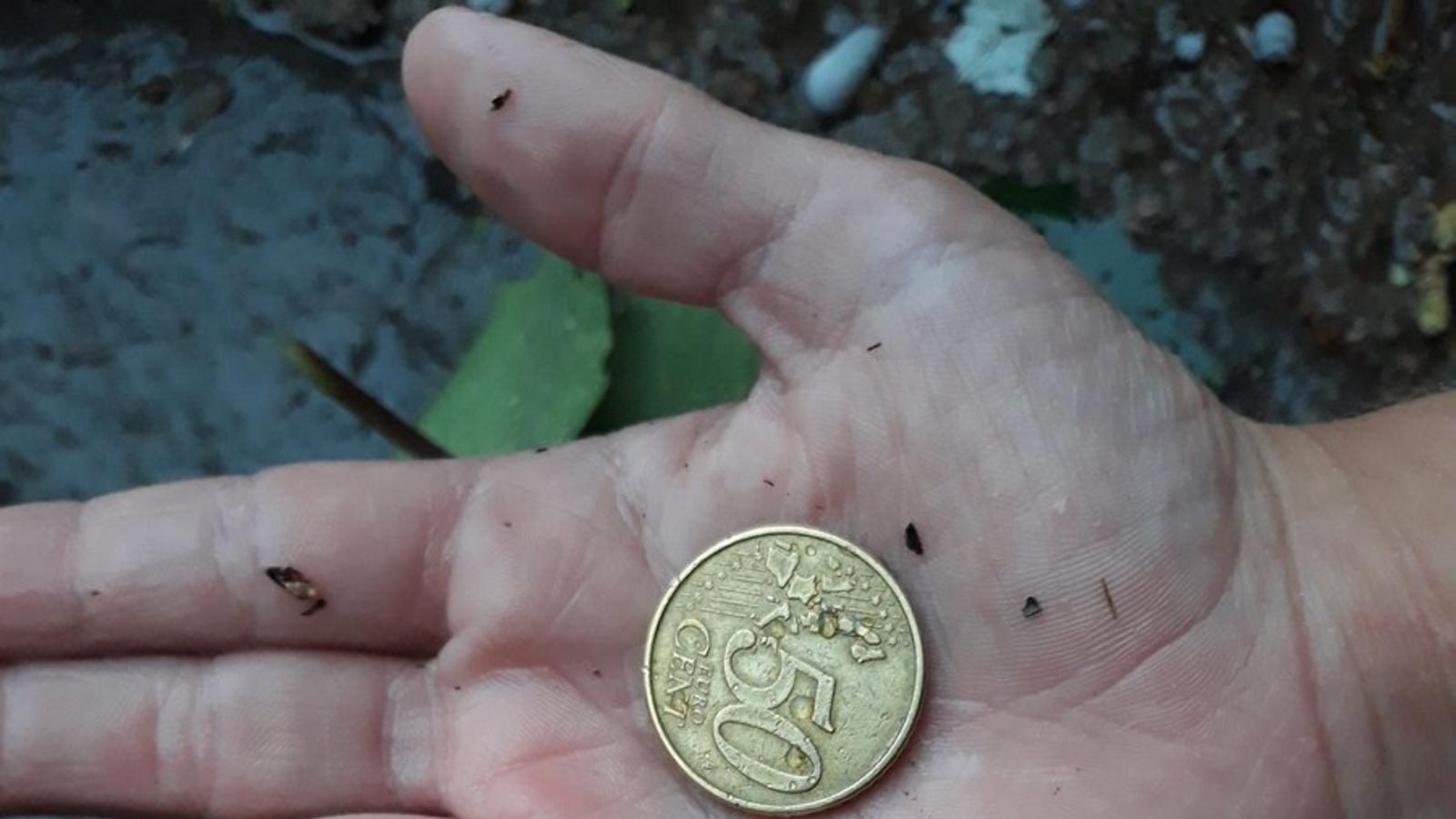 Tavertet ha estat una de les poblacions afectades per les pedregades