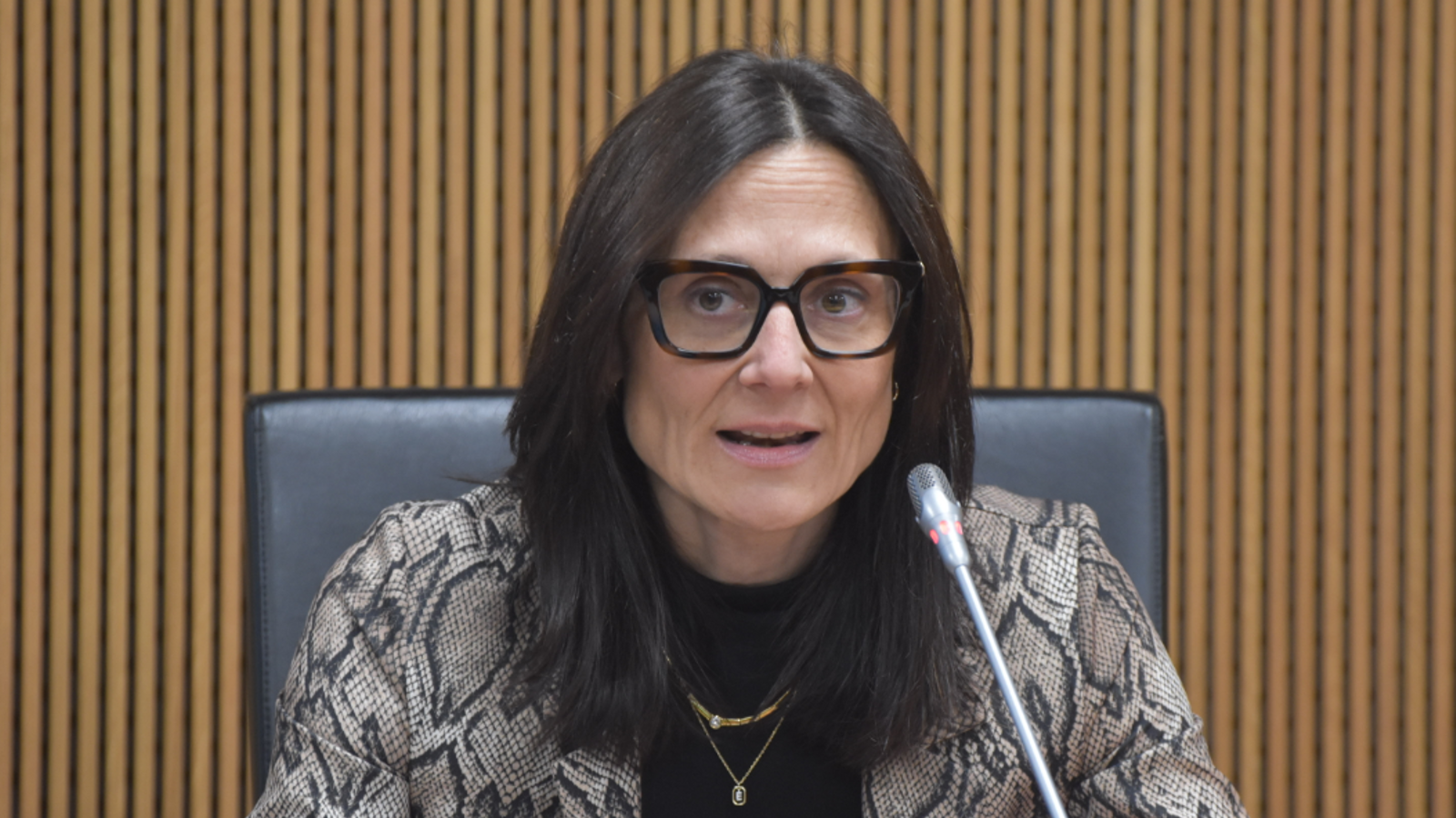 La ministra de Justícia i Interior, Ester Molné, en compareixença davant de comissió.