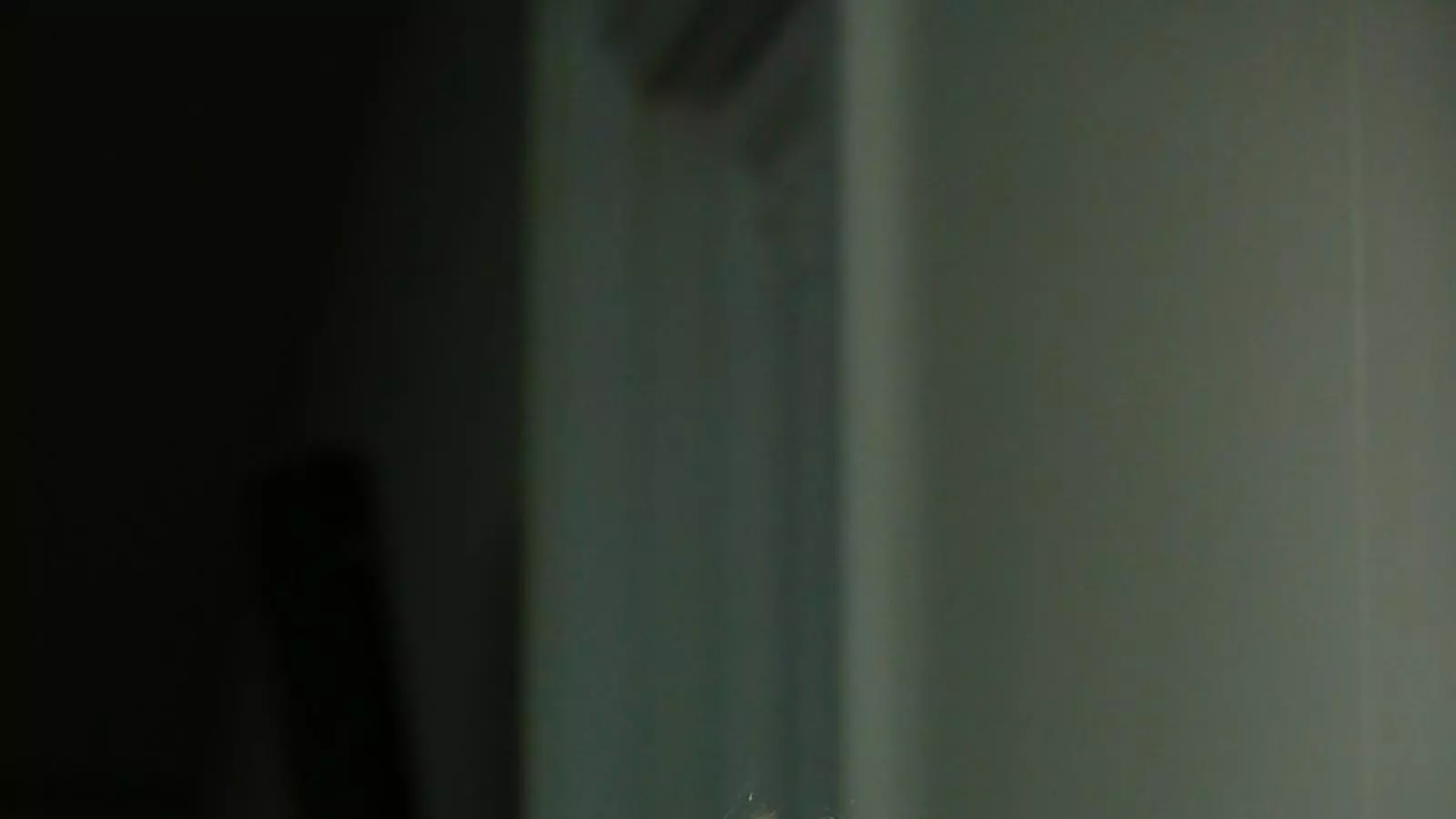 Jennifer Clement: “Per descomptat que enviarem observadors al judici”