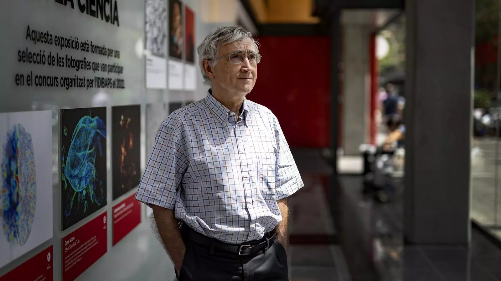 Entrevista al director de d'Idibaps Elia Campo