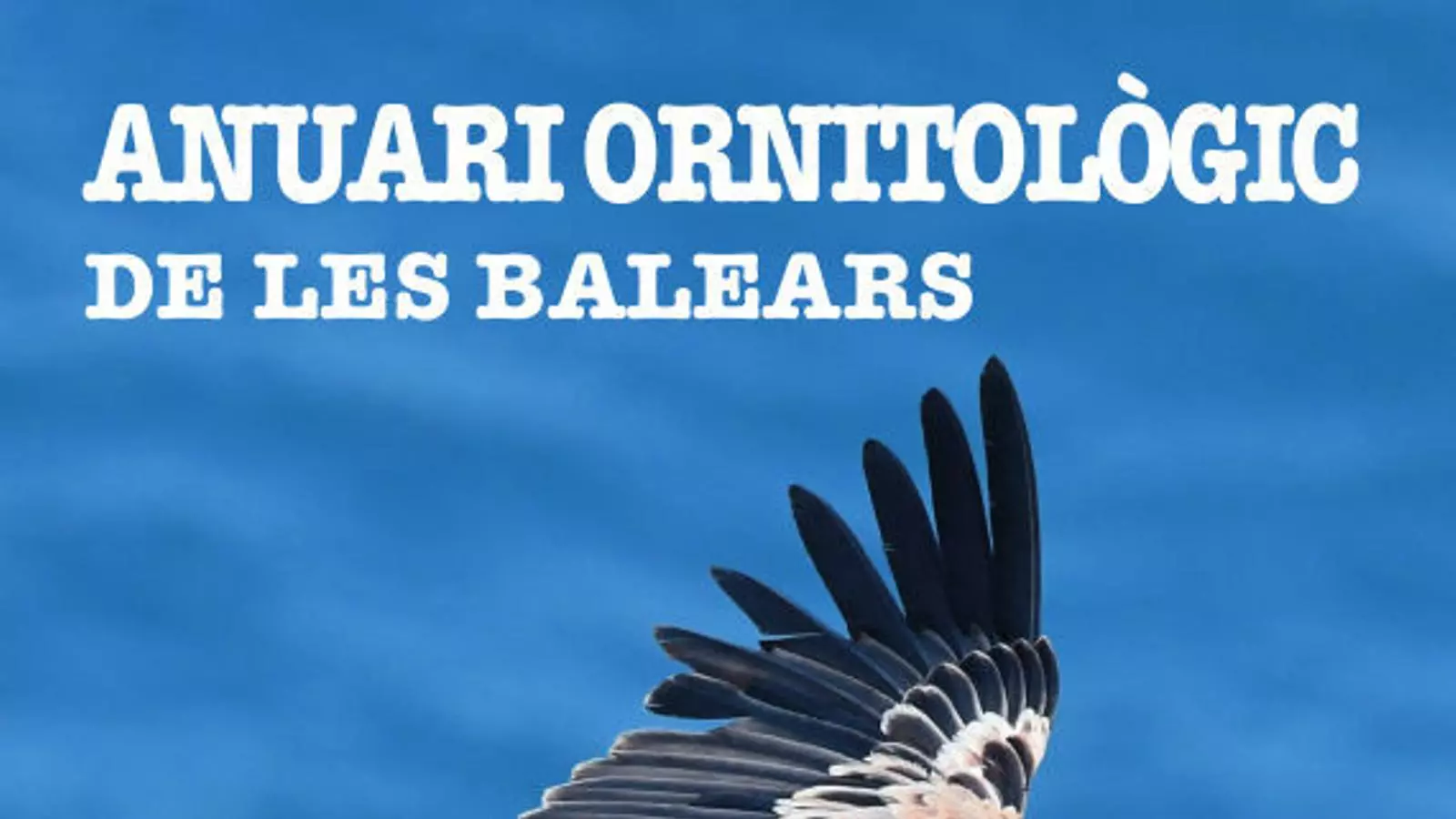 Un exemplar de voltor lleonat fotografiat des de la talaia d'Albercutx el 23 d'abril de 2020.