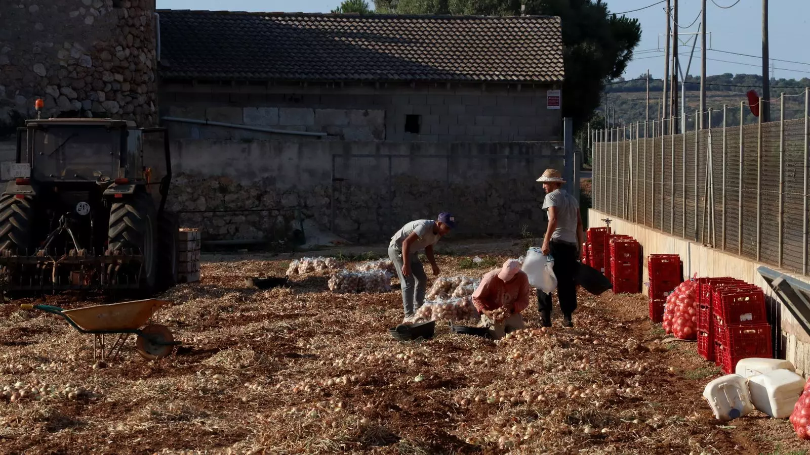S’ha d’assegurar que la producció d’aliments sigui viable i sostenible, tant en un sentit econòmic com ambiental.