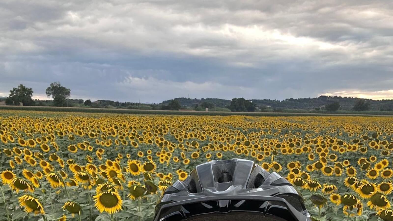 Laura Sagnier cycling through Empordà