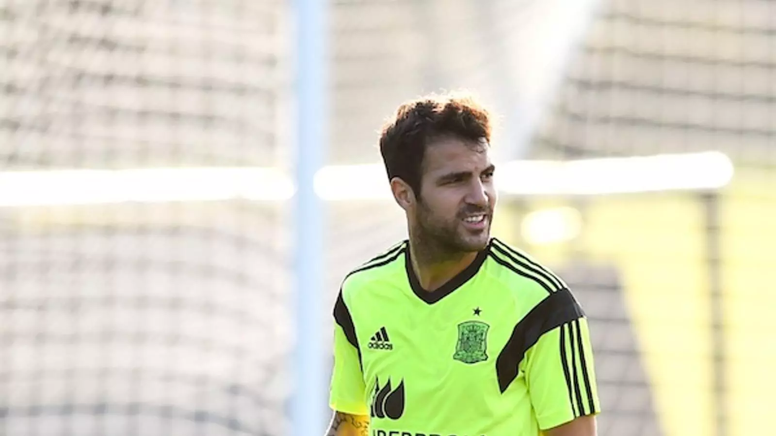 Cesc Fábregas, durant un entrenament amb la selecció espanyola / DAVID RAMOS / GETTY IMAGES