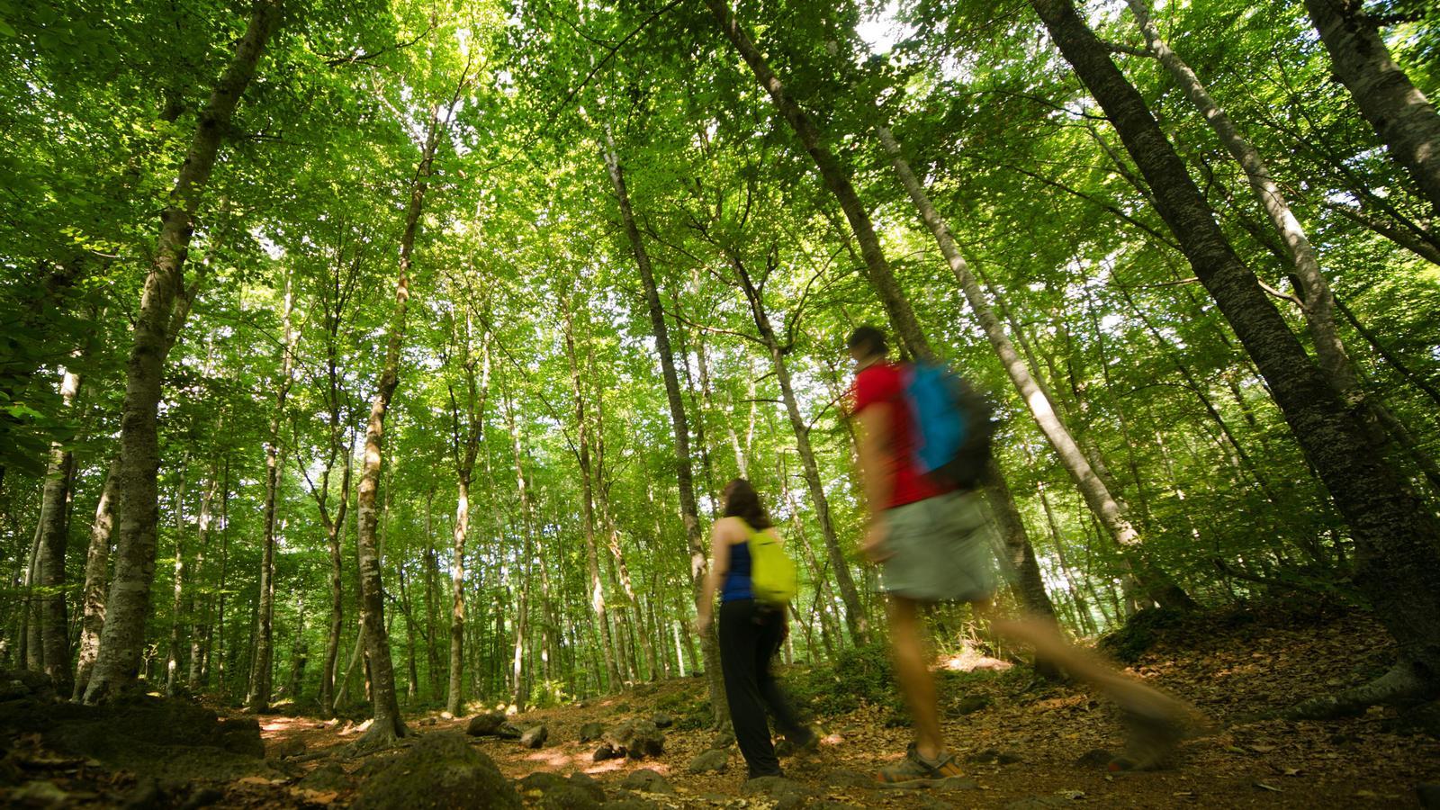 La naturaleza siempre nos está dando pistas, solo hay que saber escucharlas.