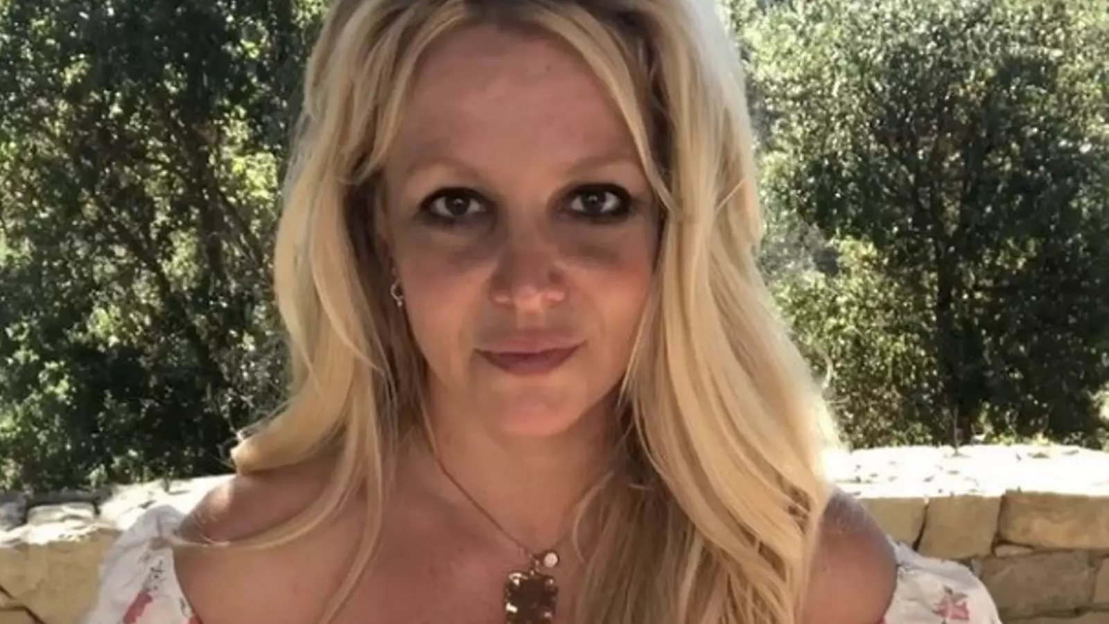 Britney Spears ha penjat un vídeo a les seves xarxes socials en què ha agraït l'afecte de la seva gran comunitat de fans