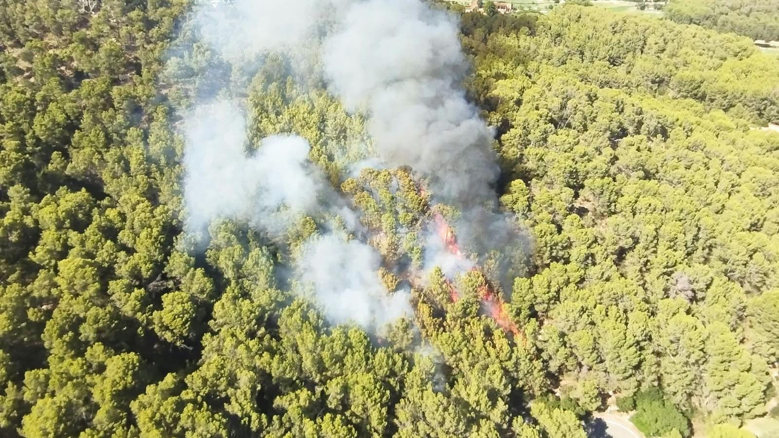 Incendi forestal al Puig de Son Muntaner