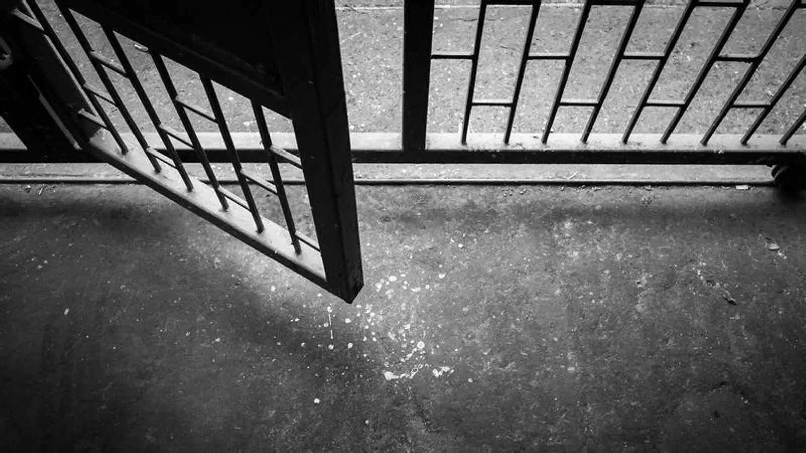 El Tribunal Supremo y la inmunidad