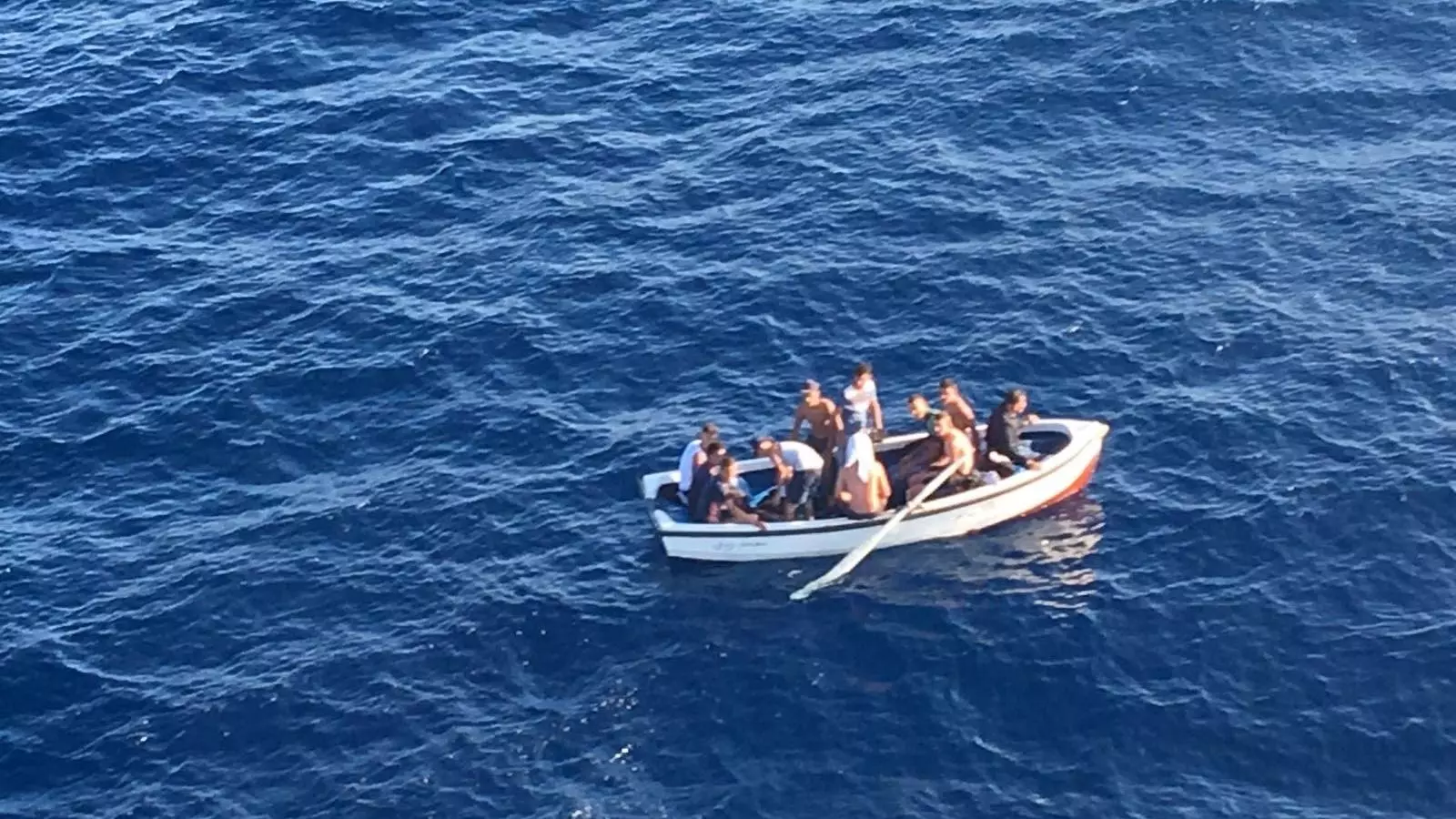 Una de les pasteres que va arribar l'any passat a Cala Figuera.