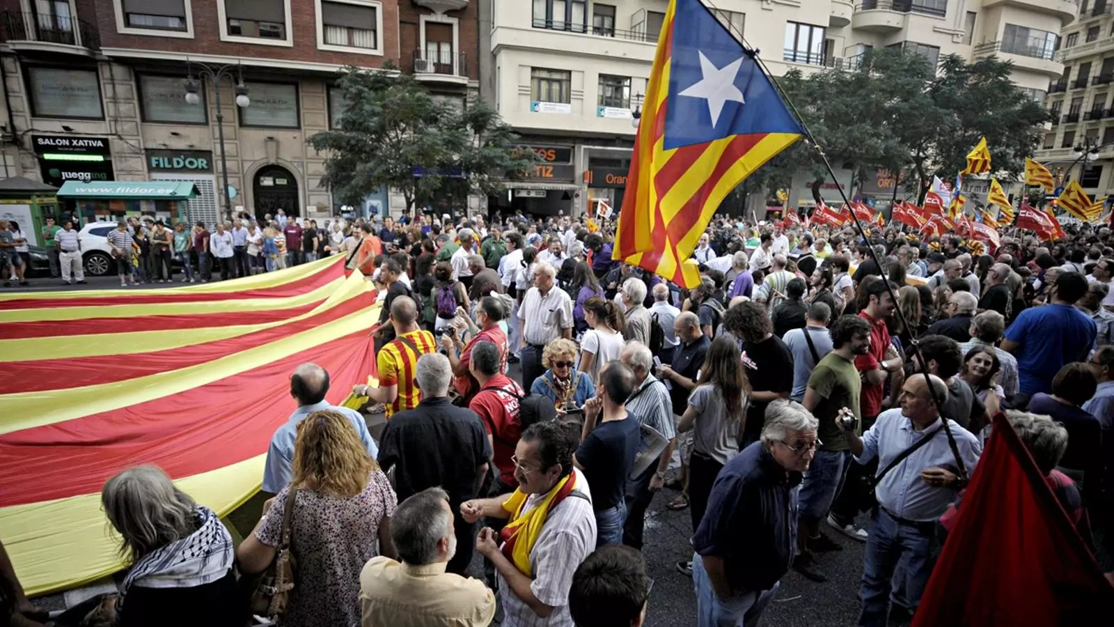 Manifestació de la Diada del 9 d'octubre a València / DANIEL GARCÍA-SALA