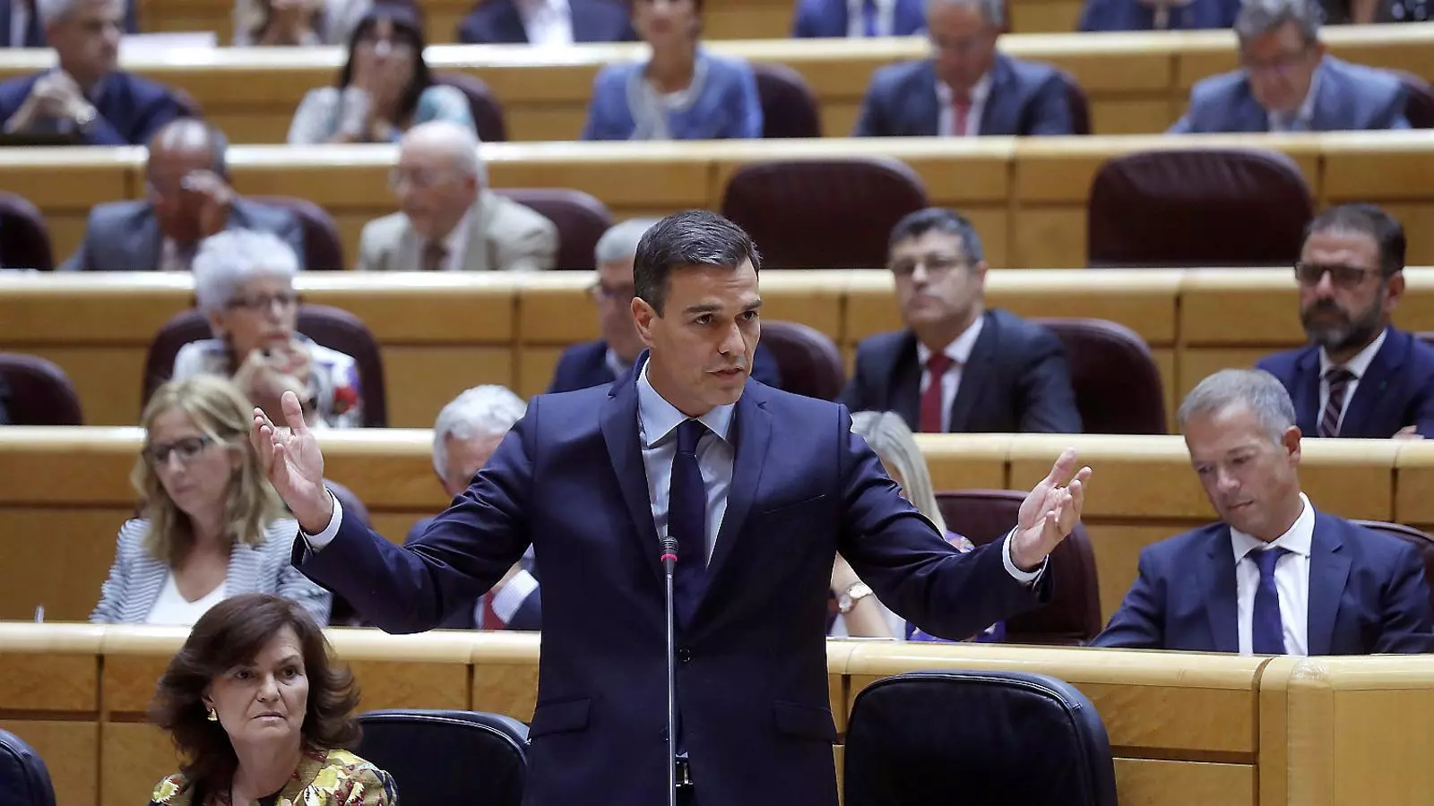 Pedro Sánchez, al Senat / EFE