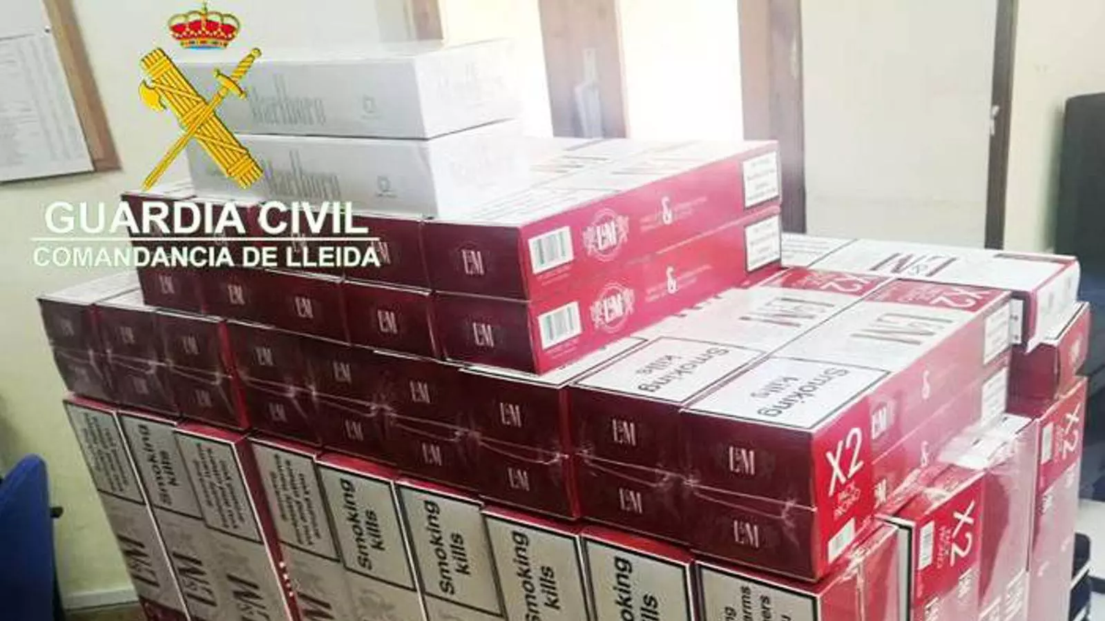 Els 1.800 paquets de tabac de contraban intervinguts.