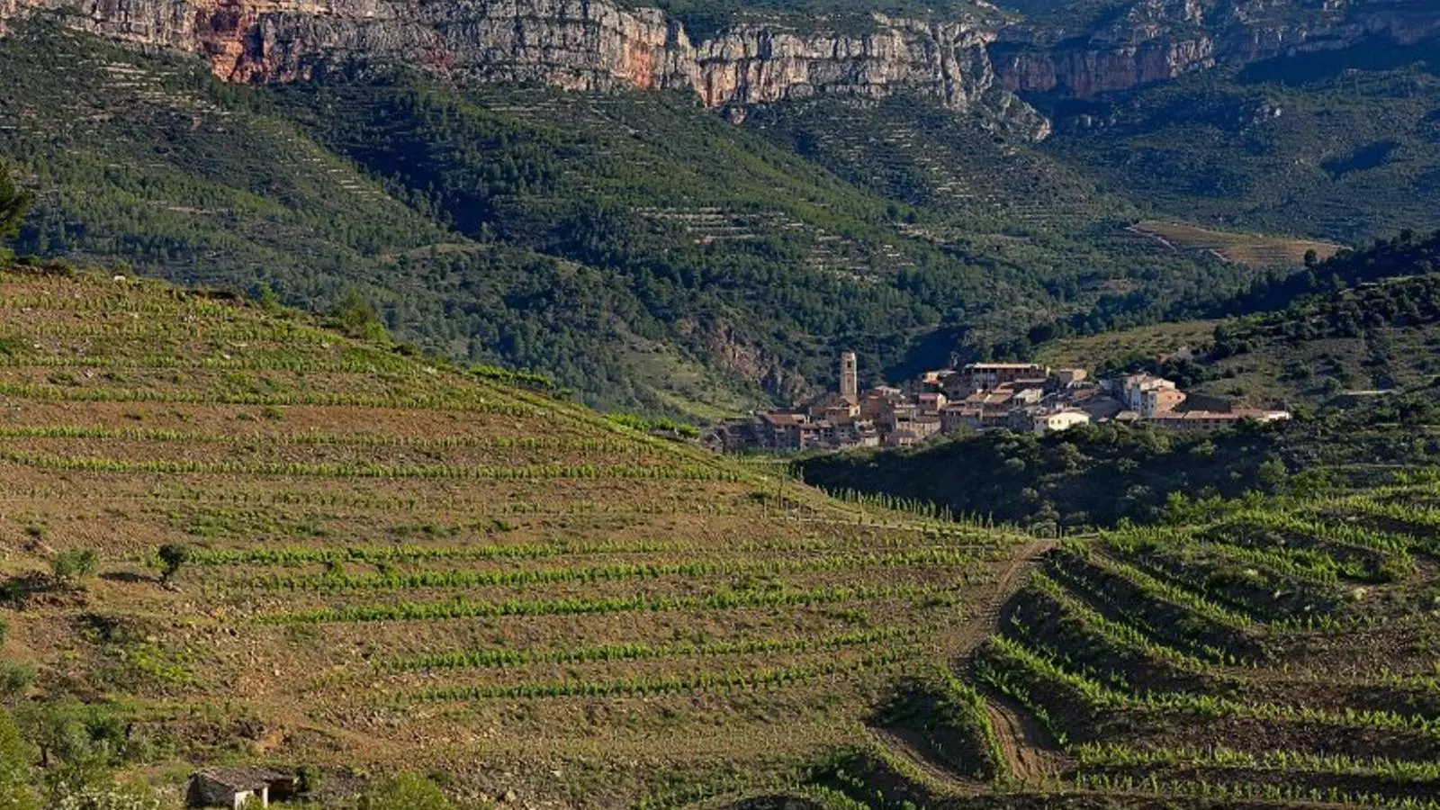 Redescobrint el Priorat: encerclant la serra del Montsant