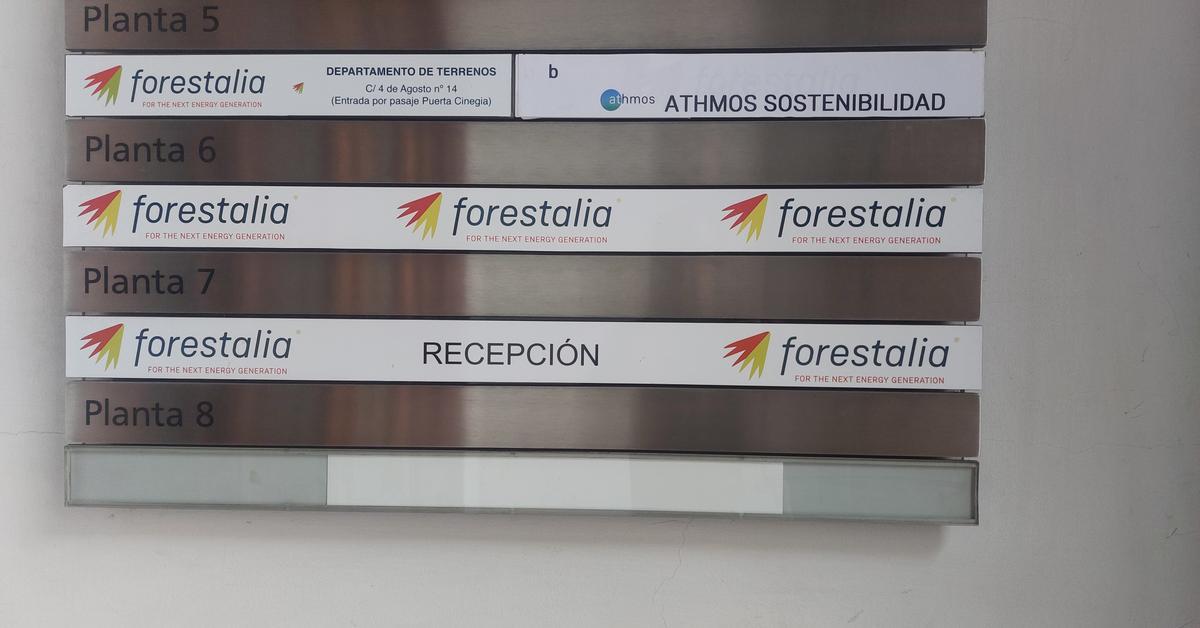 スペイン政府に対する汚職の最後の影、フォレスタリアについて私たちが知っていることすべて