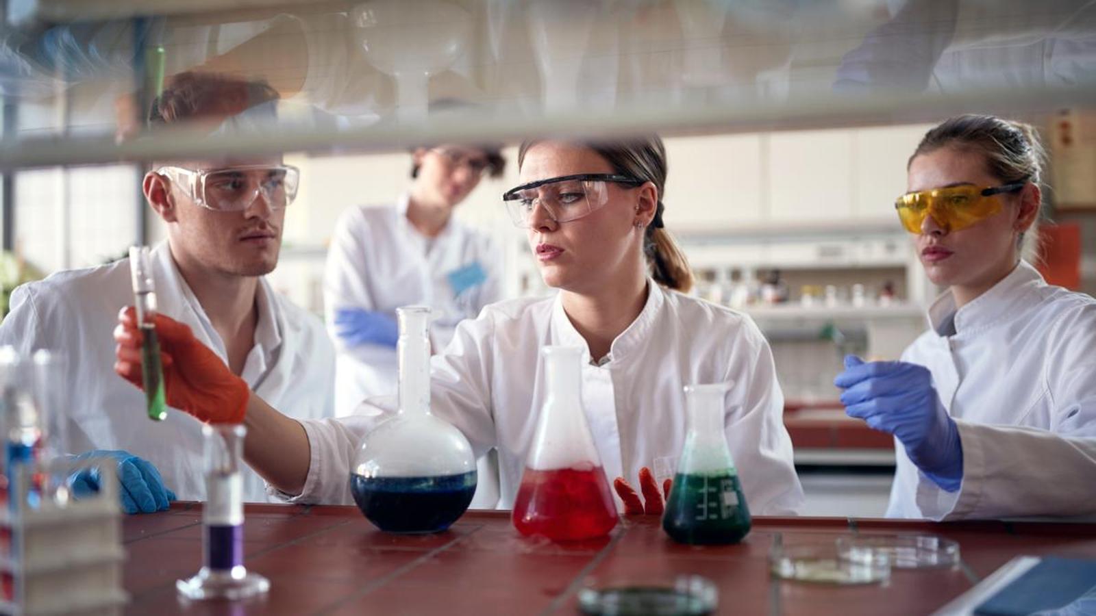 Students doing a master's degree in chemical engineering.