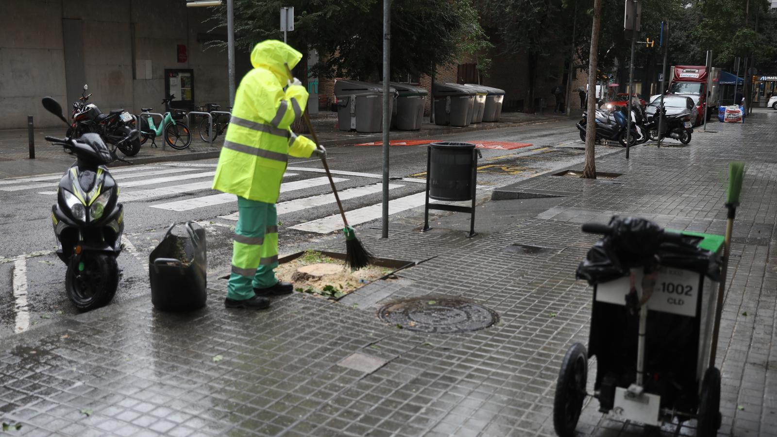 Un operario limpiando el alcorque donde hasta este lunes había un Ginkgo biloba en la calle Comandante Benítez.