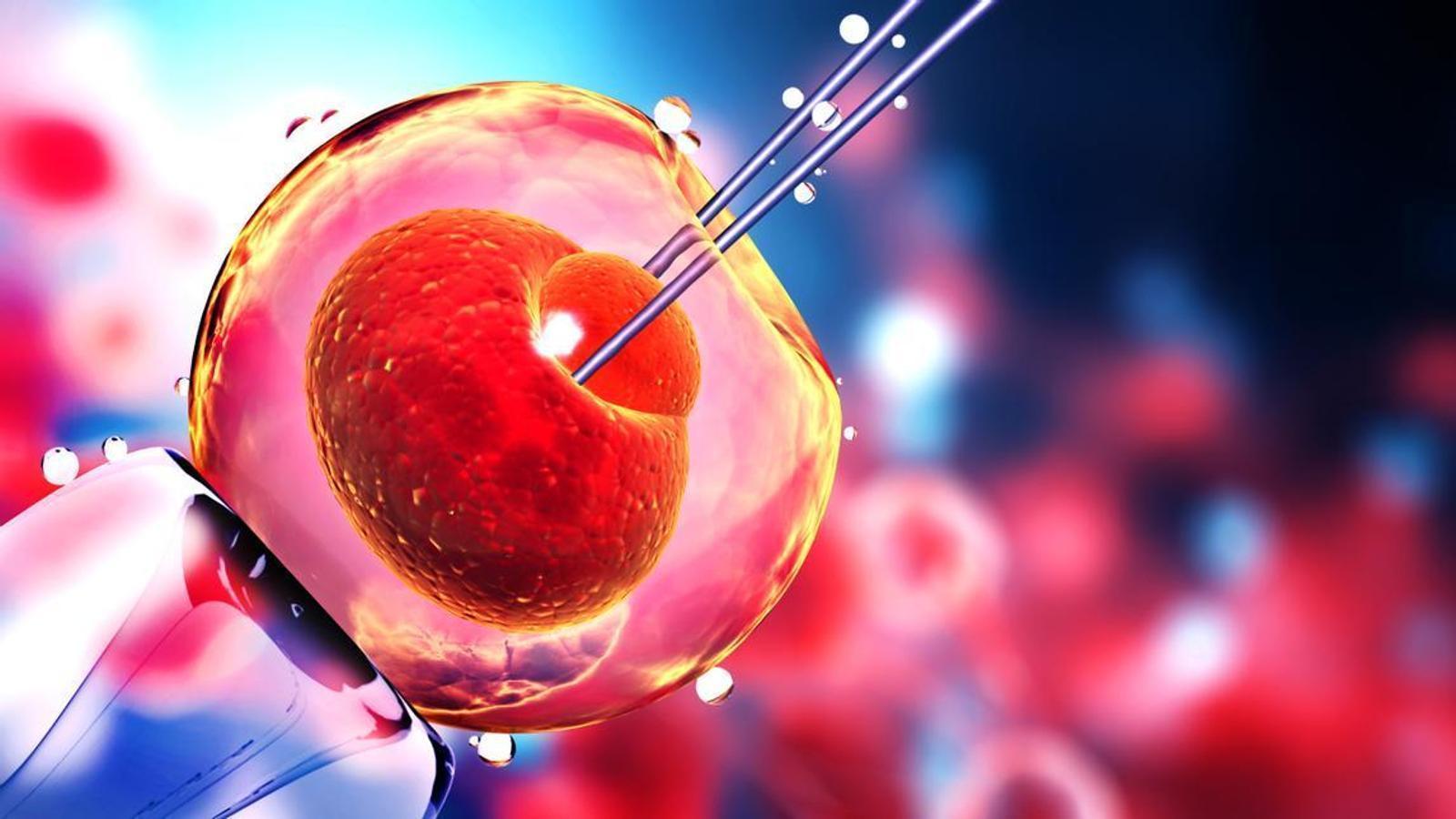 Representation of a human embryo manipulation.