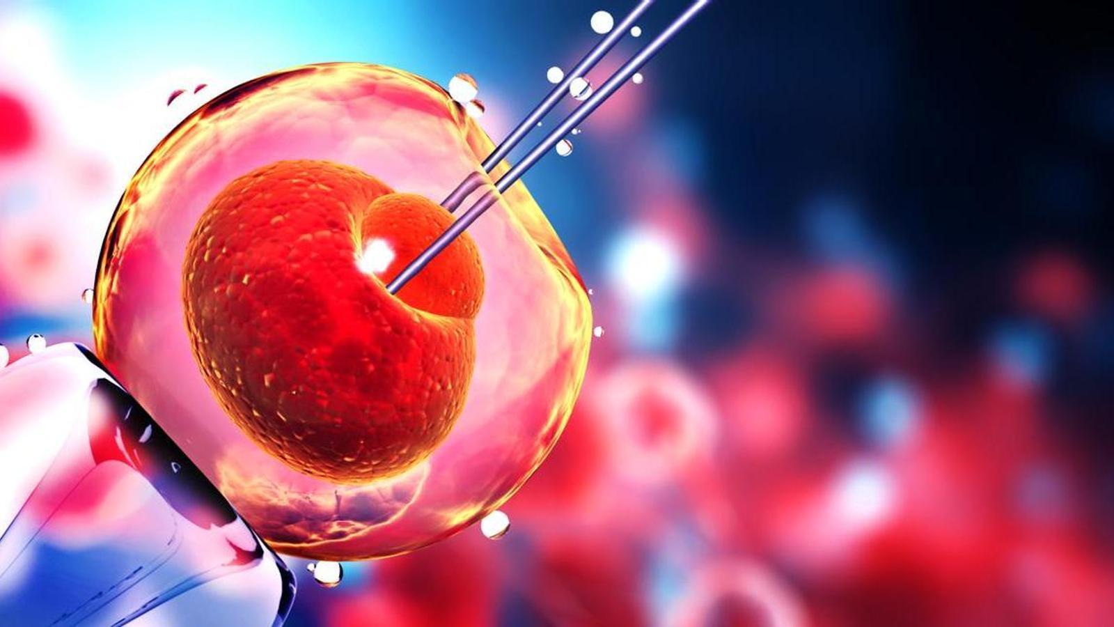 Representation of a human embryo manipulation.