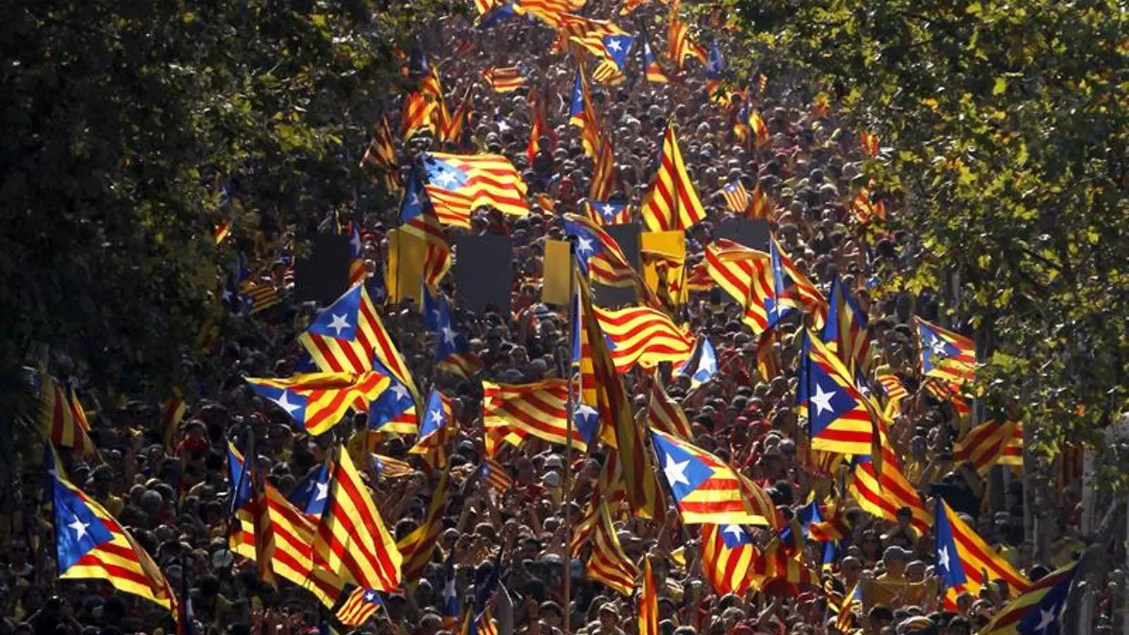 Més de 550.000 persones estaven inscrites per participar en la V / EFE