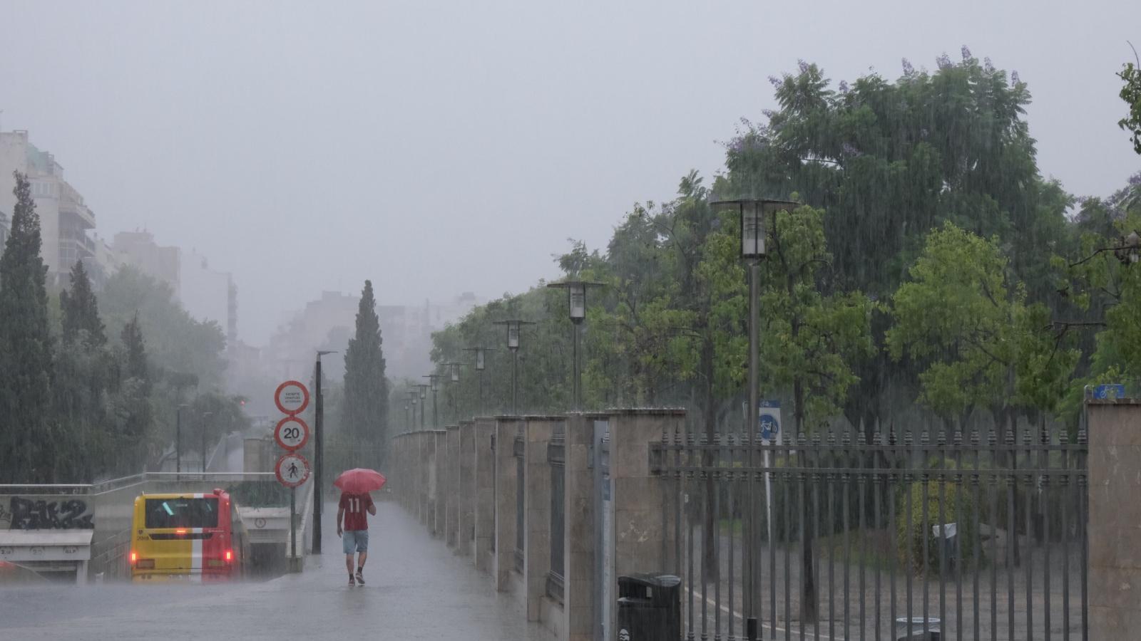 La AEMET ha previsto también lluvia para este miércoles