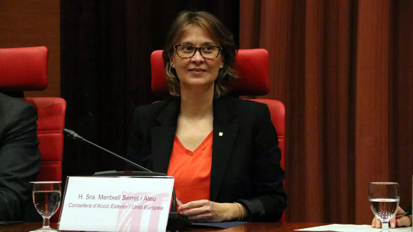 Serret, durant la seva compareixença al Parlament