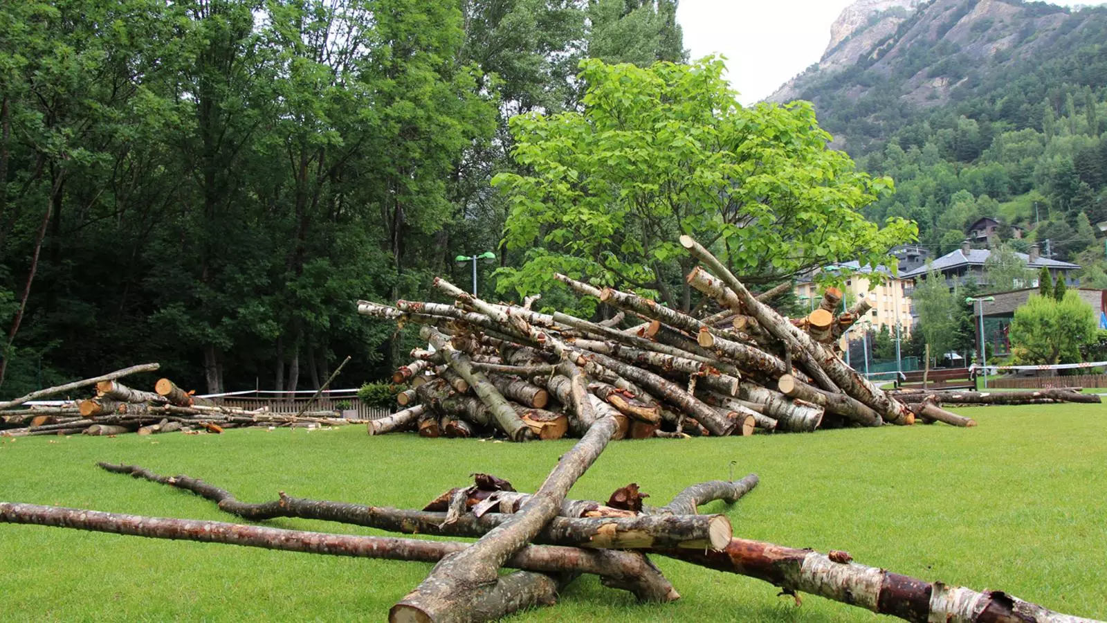Niu de troncs al Prat del Colat de la Massana / J.D.