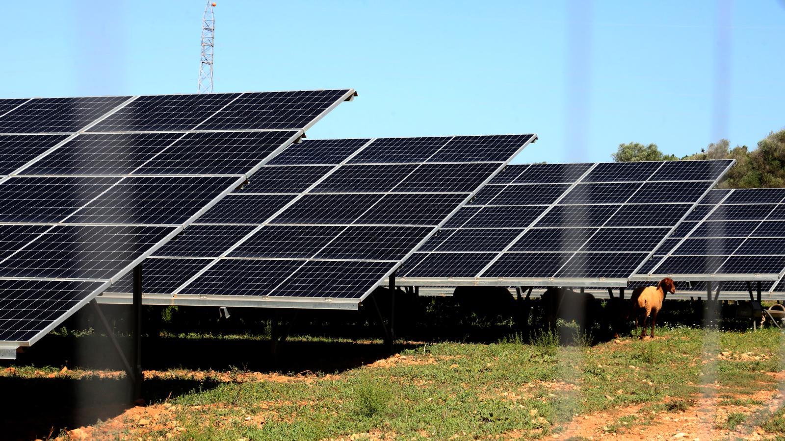 Paneles solares en Mallorca.
