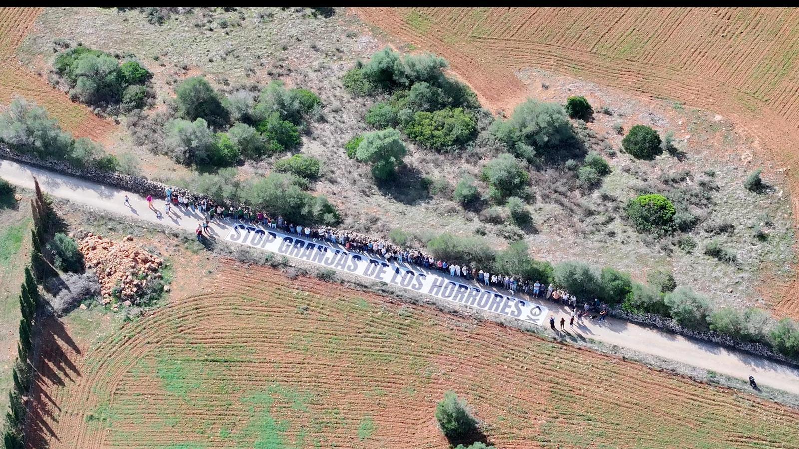 Human chain in the vicinity of Son Brau