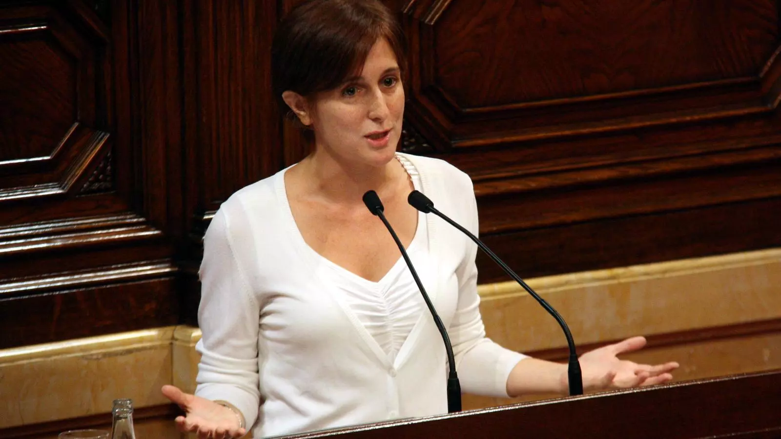 La portaveu parlamentària d'ICV-EUiA, Dolors Camats, durant la seva intervenció en el Ple monogràfic sobre joventut / ACN
