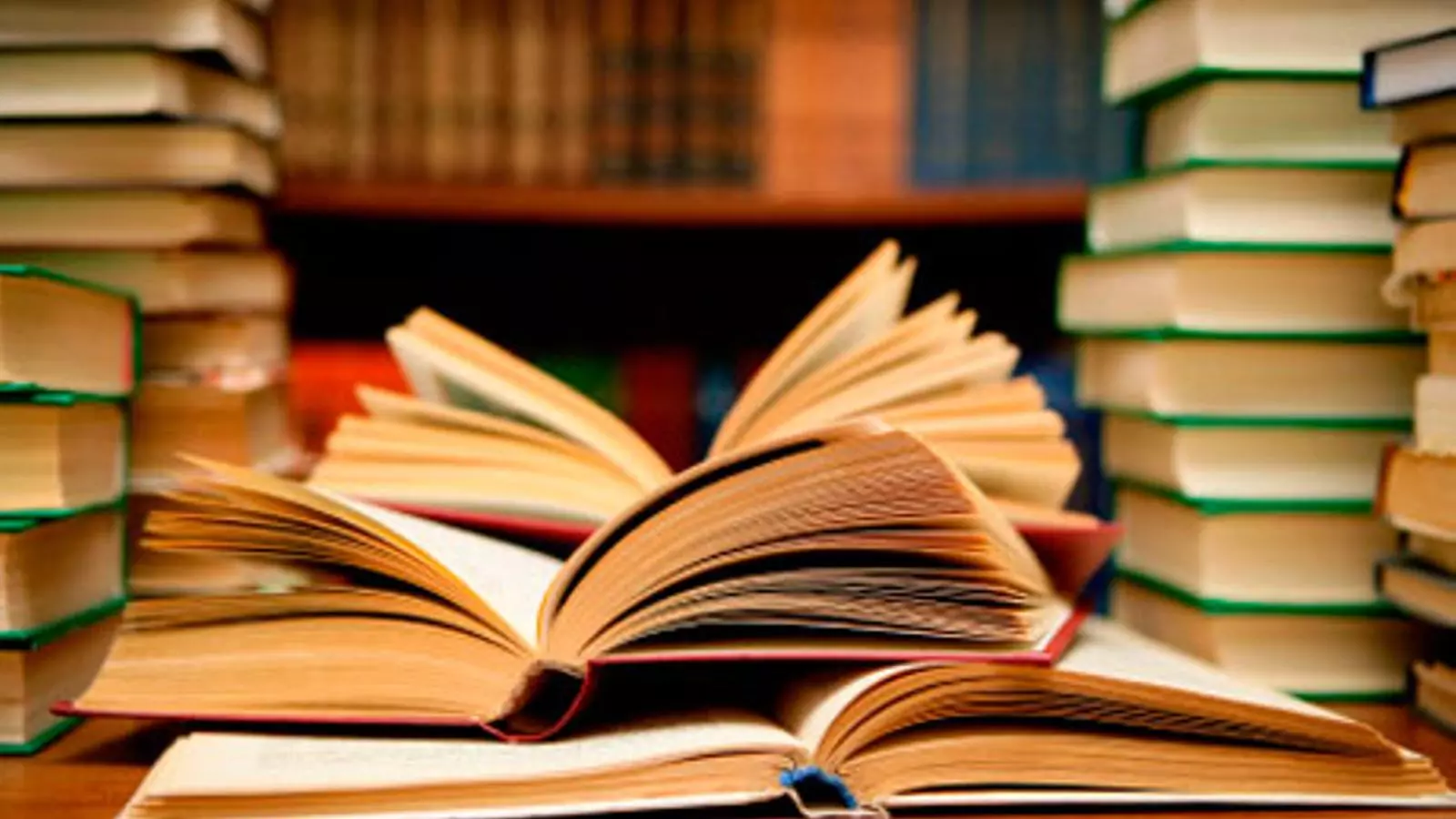 Entre ells llibres amb ajut n'hi ha de Simone Weil i Aristòtil