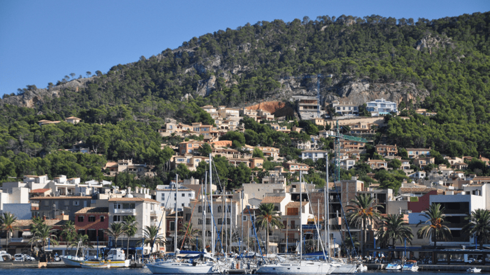 Port d'Andratx