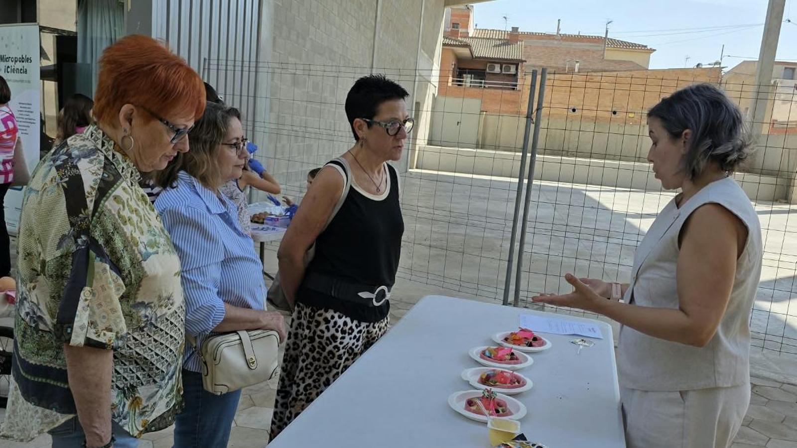 One of the Micro-villages and Science sessions