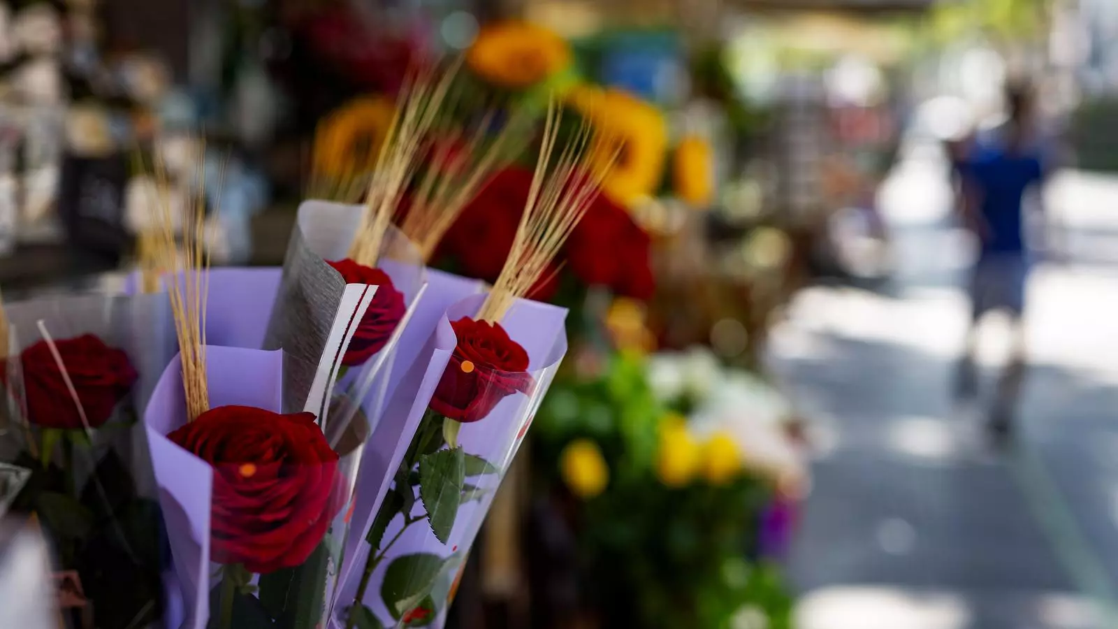 Sant Jordi.