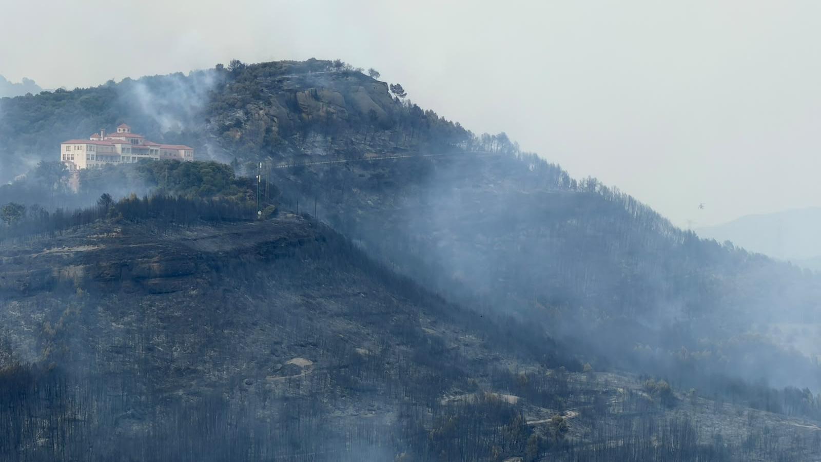 Image of the land affected by the forest fire in Sant Quirze Safaja
