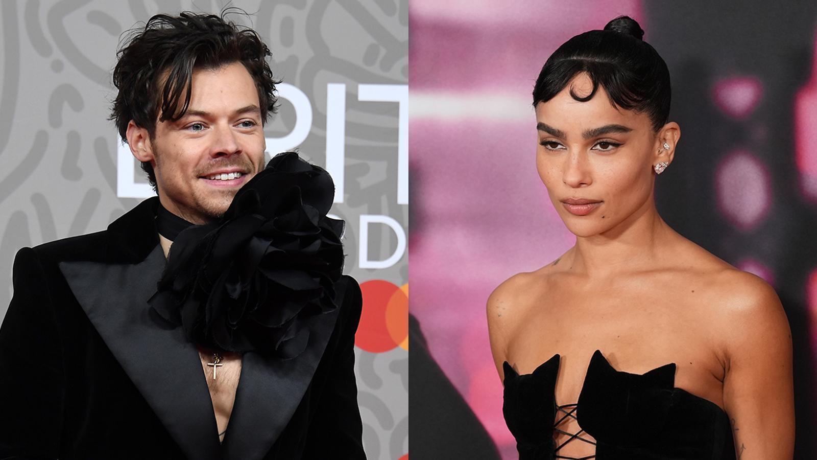 Harry Styles and Zoë Kravitz