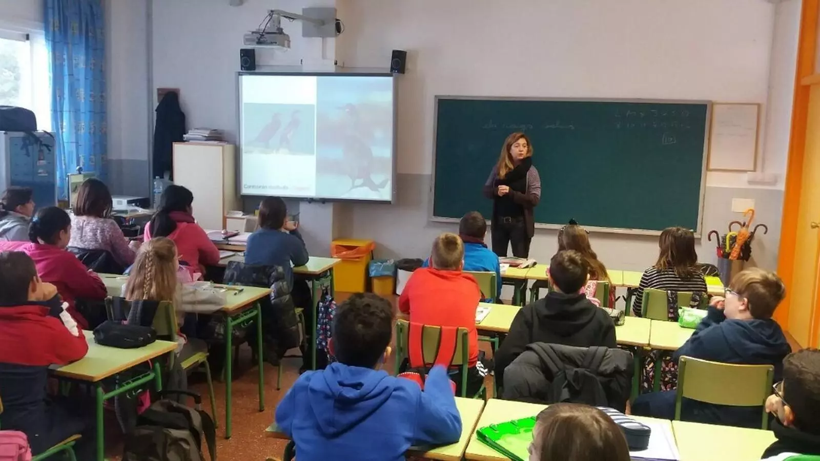 Els docents de l'illa creuen que necessiten dues o tres setmanes per preparar el curs amb millors condicions.