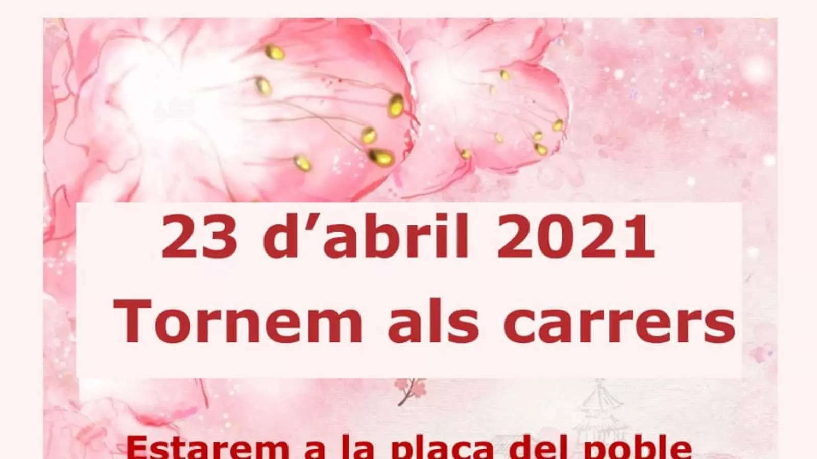 Anuncia d'Stop Violències per Sant Jordi